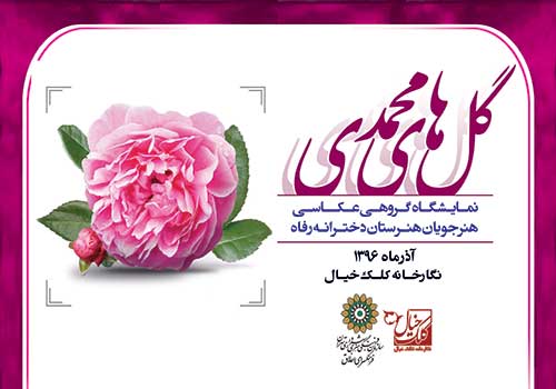 نمایشگاه عکس «گل‌های محمدی» در نگارخانه کلک خیال