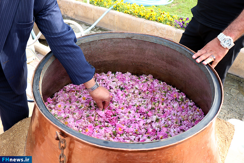 جشنواره گل و گلاب در فرهنگ‌سرای اشراق