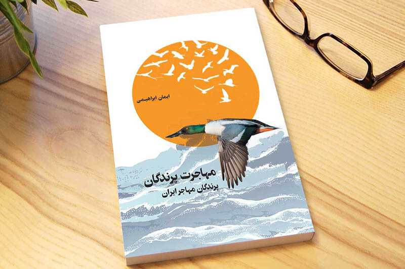 نقد و بررسی کتاب مهاجرت پرندگان در فرهنگسرای امام (ره)