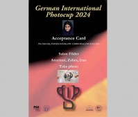 موفقیت دانش آموز عکاس ایرانی در آلمان