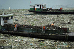 خارج کردن زباله ها از رودخانه یانگ تسه در استان هوبی چین. عکس: AFP


