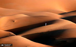 تپه های شنی صحرا لیوا در ابوظبی. عکس: Karim Sahib/AFP/Getty