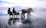 تورهای سورتمه سواری با اسب روی یخ بر روی دریاچه سیلدیر، ترکیه. عکس: Anadolu Agency

