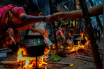 پخت غذا از سوی زنان تامیل در جشن آیینی برداشت پونگال در بمبئی هند