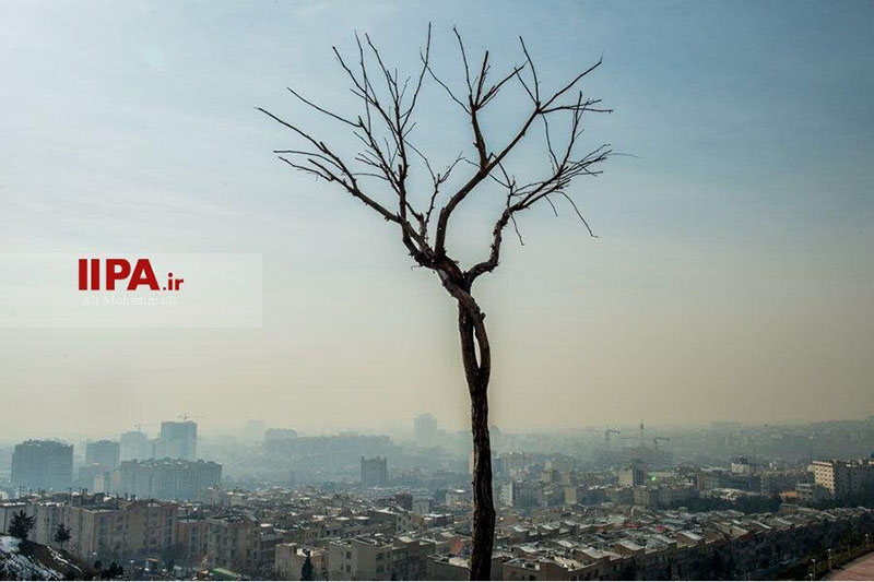 قابهایی از غرق شدن تهران در آلودگی قابهایی از غرق شدن تهران در آلودگی