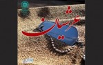 شهید جاویدالاثر به روایت همسرش در پادکست «عرشیان»