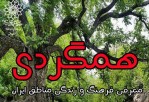 معرفی اماکن گردشگری گیلان در برنامه «همگردی»