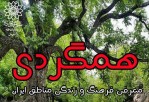 معرفی روستای داماش در برنامه مجازی «همگردی»