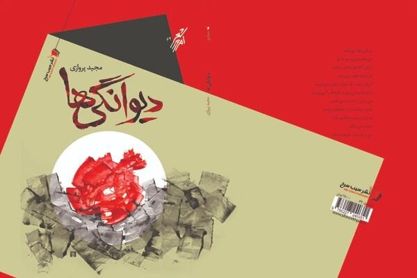 انتشار مجموعه شعر «دیوانگی‌ها»