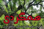 معرفی بندر انزلی در برنامه مجازی «همگردی»
