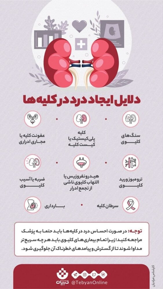 اینفوگرافیک | چرا کلیه‌ها درد می‌گیرند؟