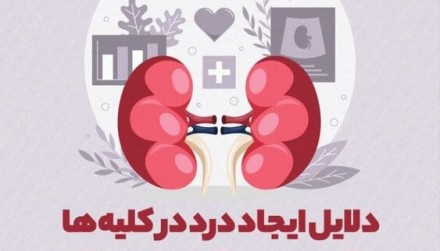 اینفوگرافیک | چرا کلیه‌ها درد می‌گیرند؟
