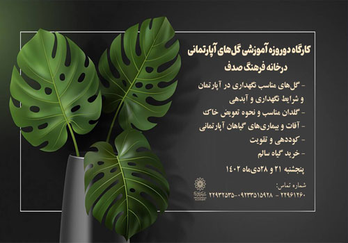کارگاه آموزشی گل های آپارتمانی در خانه فرهنگ صدف