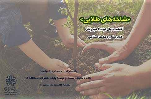شاخه‌های طلایی؛ کاشت نهال توسط نوجوانان