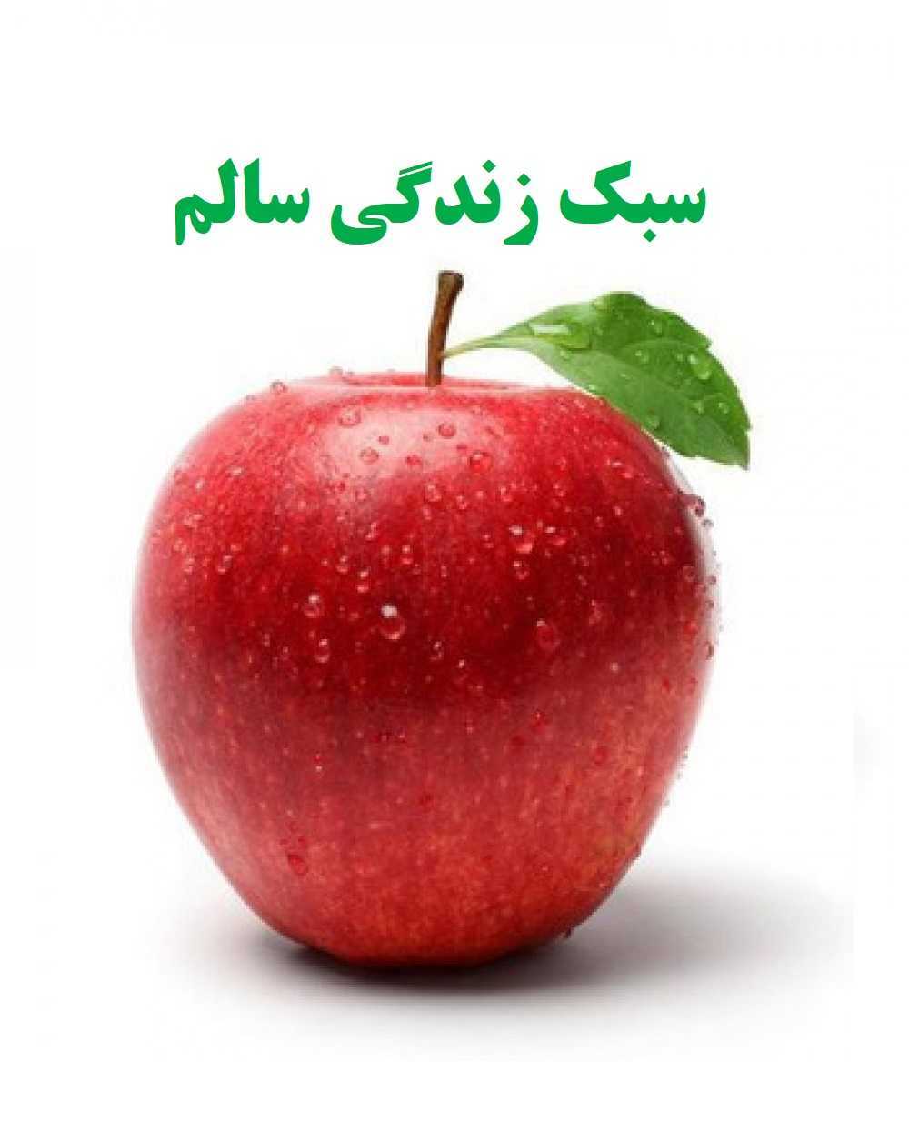 کارگاه آموزشی آشنایی با سبک زندگی سالم در خانه فرهنگ شمشیری