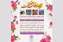 اردو و دورهمی دختران قرآنی شهر تهران در فرهنگسرای قرآن