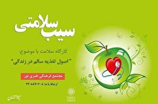 کارگاه آموزشی «سیب سلامتی» در مجتمع فرهنگی هنری نور