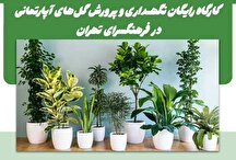 کارگاه رایگان نگهداری و پرورش گل‌های آپارتمانی در فرهنگسرای تهران