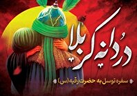 ویژه‌برنامه «دردانه کربلا» به مناسبت شهادت حضرت رقیه(س) در خانه فرهنگ فرشته آزادی