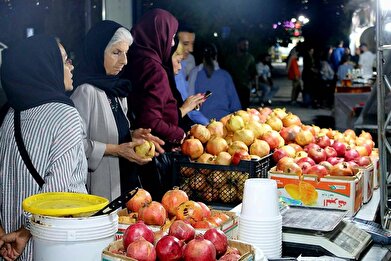 عکس؛ جشنواره بزرگ «روستا و عشایر» در دریاچه شهدای خلیج فارس